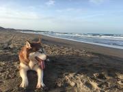 Top Playa de Chachalacas