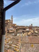 Top Siena