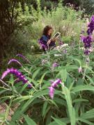 Posada de la Montaña