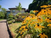 Ferienwohnung Zum Deichgrafen