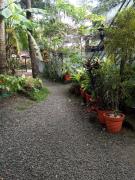 Top Cochin