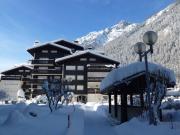 Grand appartement avec terrasse face au Mont-Blanc, parking et WiFi - FR-1-343-173