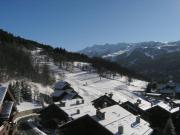 Confort et commodités à Méribel Village, 3 chambres, balcon sud, parking couvert, à 150m des remontées - FR-1-180-528