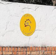 Top Arcos de la Frontera