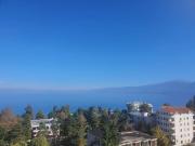 Top Pogradec