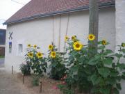 Gîte confort aux portes des châteaux, jardin, terrasse, WIFI, vélos, proche A85 et balades nature - FR-1-381-502