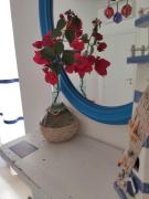 Top San Benedetto del Tronto