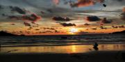 Top Patong Beach