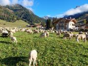 Top Pozza di Fassa