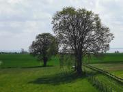 Top Stolpe auf Usedom