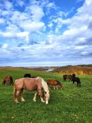 Top Szymbark Top Szymbark