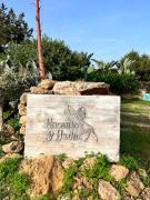 Top Sant Francesc Xavier