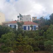 Top Arona
