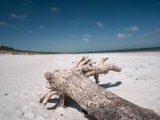 gemütliche Ferienwohnung in Hafennähe - FeWos am Hochzeitsberg FeWo 08