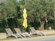 Top Piolenc Top Piolenc