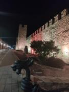 Top Montblanc Top Montblanc