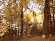 Studio rénové 6 pers, accès direct pistes, proche commerces et télésiège, balcon exposé Est - FR-1-322-461