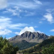 Top Vars