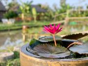 Discovery Mekong locals life - Breakfast TwoBoatTours Included for 2nights