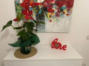 Flowers in Rome Flowers in Rome