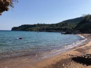 Top Koroni