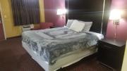 OSU King Bed Hotel Room 111 Booking
