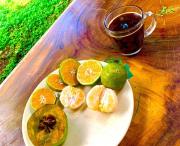 Encantadora Villa Maya tradicional en Rancho Agroecologico