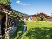 Top Wald im Pinzgau