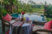 Top Ubud