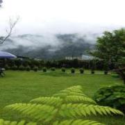 Top Mirik
