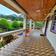 Top Mirik