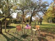Top Campo San Pietro