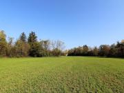 Top Campo San Pietro
