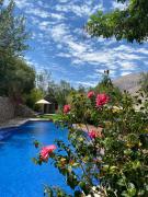 Top Pisco Elqui Top Pisco Elqui