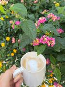 Top Marina di Pietrasanta