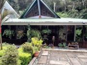 Casas Guaney, full furnished studios!