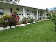 Top Restrepo Top Restrepo