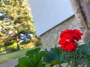 Top Hegyhátszentjakab