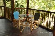 Top Wayanad