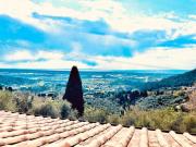 Top Corsanico-Bargecchia