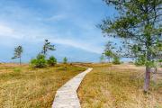 Top Glen Arbor