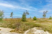 Top Glen Arbor