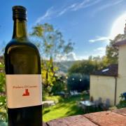 Top Serravalle Pistoiese