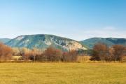 Top Salmon Arm