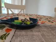 Top Lido di Camaiore