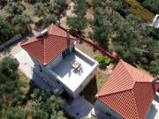 Top Riglia Top Riglia