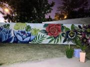 Top San Rafael