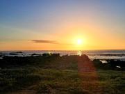 Adorable 2 Bedroom Cottage with spacious veranda