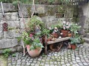 Top Freital Top Freital