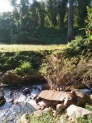 Top Ban Na Kham Top Ban Na Kham